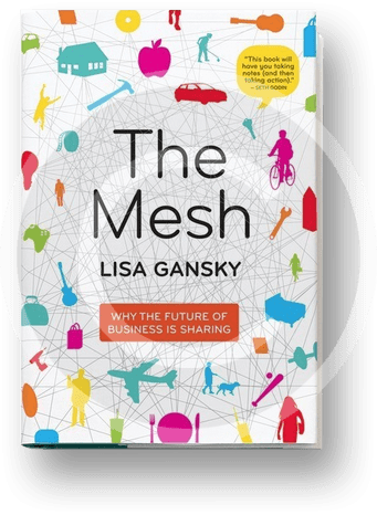 book_the-mesh.png